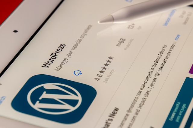 wordpress maintenance checklist - plugins and themes